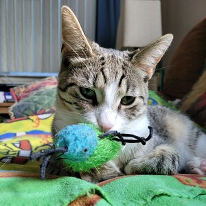 Fundraising Page: Mary Werts-Russell 